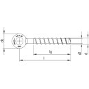 MULTI-MONTI-plus R Betonschraube Stahl verzinkt Ringanker - 6 x 40 mm - 200 St&uuml;ck