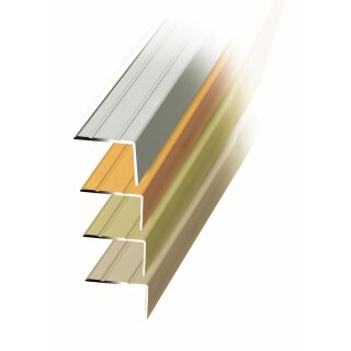 quickFIX Treppen- und Winkelprofil zum Kleben 100 x 2,5 x 2 cm aus eloxiertem Aluminium